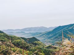 -四明山国家森林公园