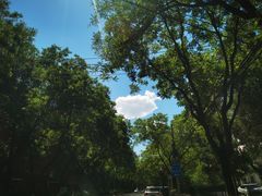 -有礼有面(知春路店)