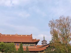 -高旻寺