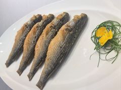 -五棵树•粤西高凉菜(琶洲店)