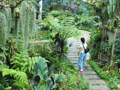 -东莞植物园