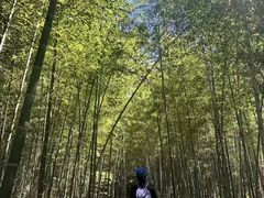 -南京市无想山景区