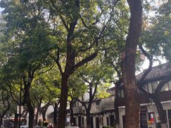 -长发西饼(临顿路店)