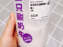 -一只酸奶牛(时代天街A馆店)