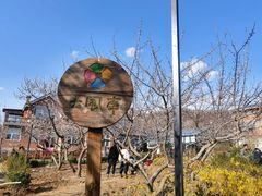 -北马山庄植趣咖啡