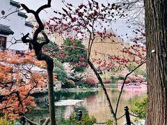 -鲍师傅糕点(虹口龙之梦店)