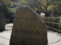 -神户市立六甲山牧场