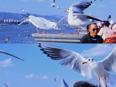 -海埂大坝