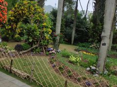 -深圳仙湖植物园