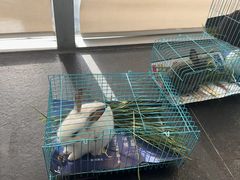 -蔓兰家的四季S0餐厅·融合菜(当代MOMA店)