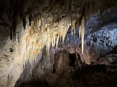 -怀托摩萤火虫洞