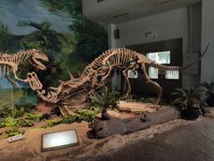 -自贡恐龙博物馆