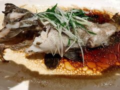 清蒸鱼-锦粤宫·精致粤菜(深圳北站店)