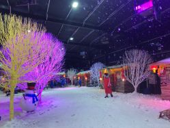 -圣名游乐城冰雪大世界