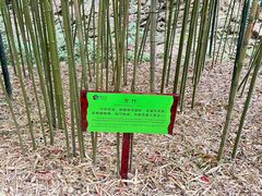 -常德桃花源景区
