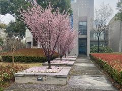 -河海大学(江宁校区)