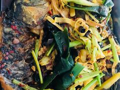 烤鱼-蜀江水川菜馆(金川家园店)