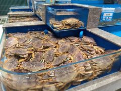 -帝皇海海鲜豆捞(桐泾商务广场店)