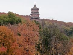 -宝通禅寺