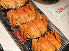 -红盔甲·小龙虾(天钥桥店)