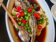 长生藤椒蒸桂鱼-好福记饭店(红梅公园店)