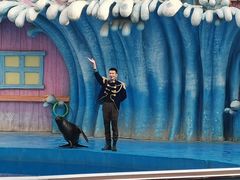 -华夏文旅海洋公园