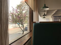 -梦旅人咖啡馆快餐(成府路北河沿小区店)