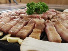 -海抱猪