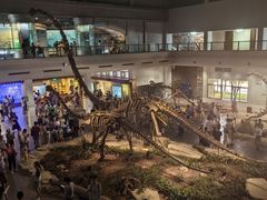 -自贡恐龙博物馆