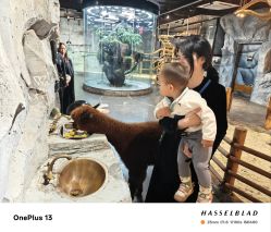 -Zoolung Zoolung动物主题公园(海信广场店)