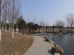 景点-前关湿地公园