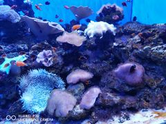 -多彩贵州城极地海洋世界