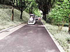 -云溪植物园