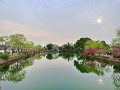 -无锡蠡湖国家湿地公园-蠡园