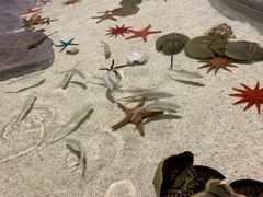 -福州罗源湾海洋世界旅游区