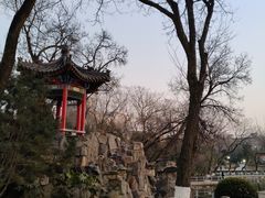 -莲湖公园