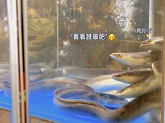 -本炙炭烤·蒲烧活鳗料理店(金沙洲店)