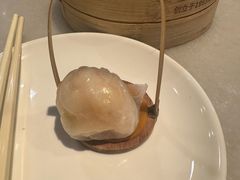 -金鼎轩(方庄天坛店)