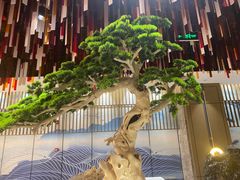 -青水瓦台汤泉(未央店)