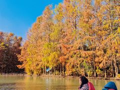 -上海海湾国家森林公园