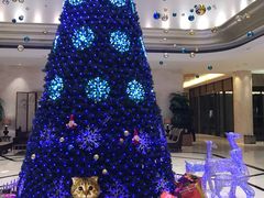 -廊坊固安福朋喜来登酒店