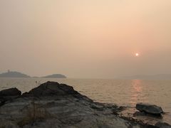 -上海市保健医疗中心(华东疗养院)