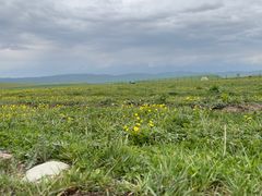 -新疆那拉提国家旅游度假区