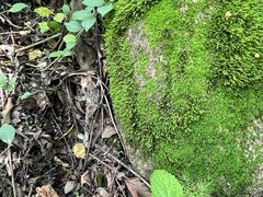 -玉渡山自然风景区