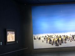 -罗红摄影艺术馆