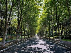 -渡江战役纪念馆