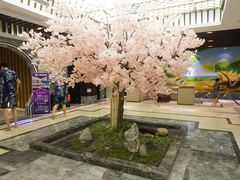 -添赐温泉馆(上南路店)