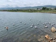 -青海湖国家重点风景名胜区
