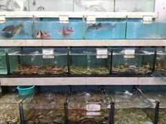 水产区-秋姐美食店(旅游大道店)