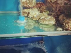 -云的侧面音乐餐吧(丰马牛餐饮广场店)